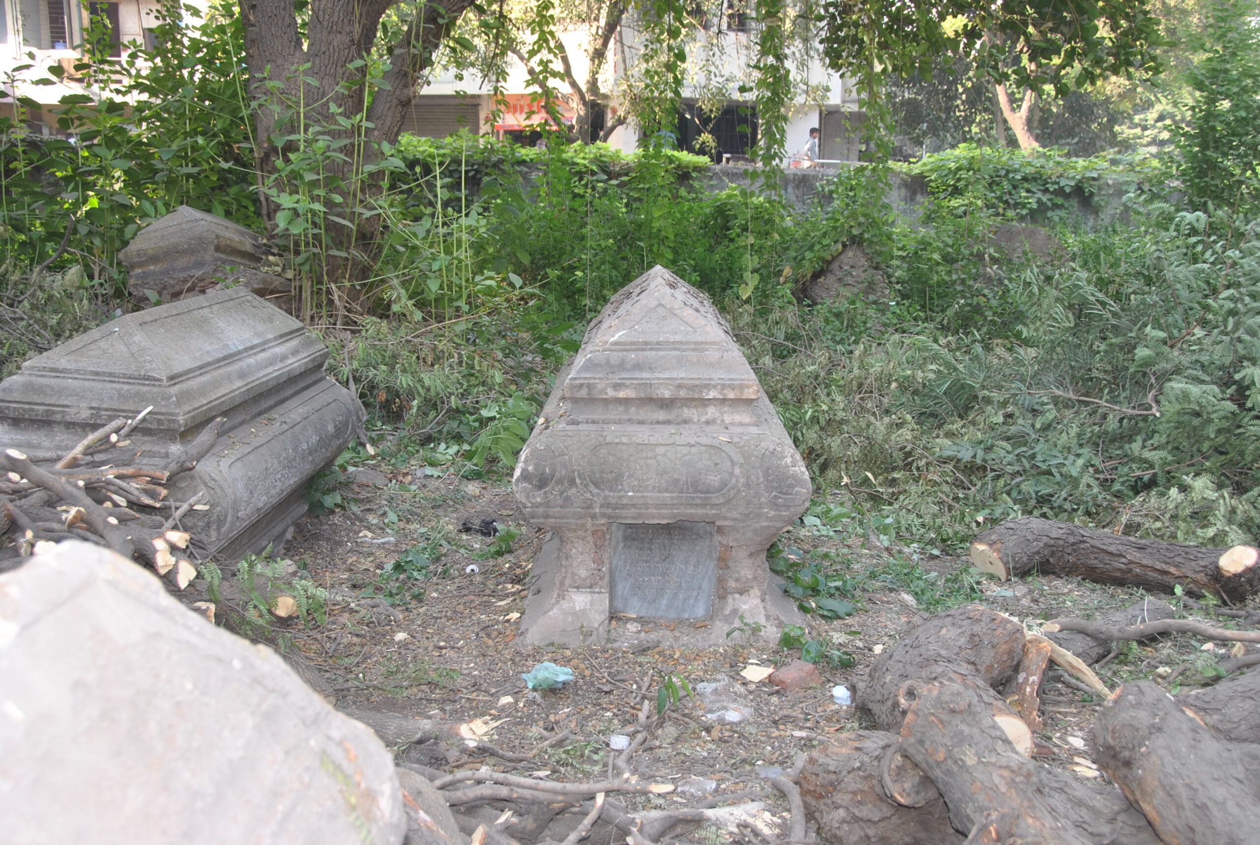 Exploring the Rich History of Jews in India