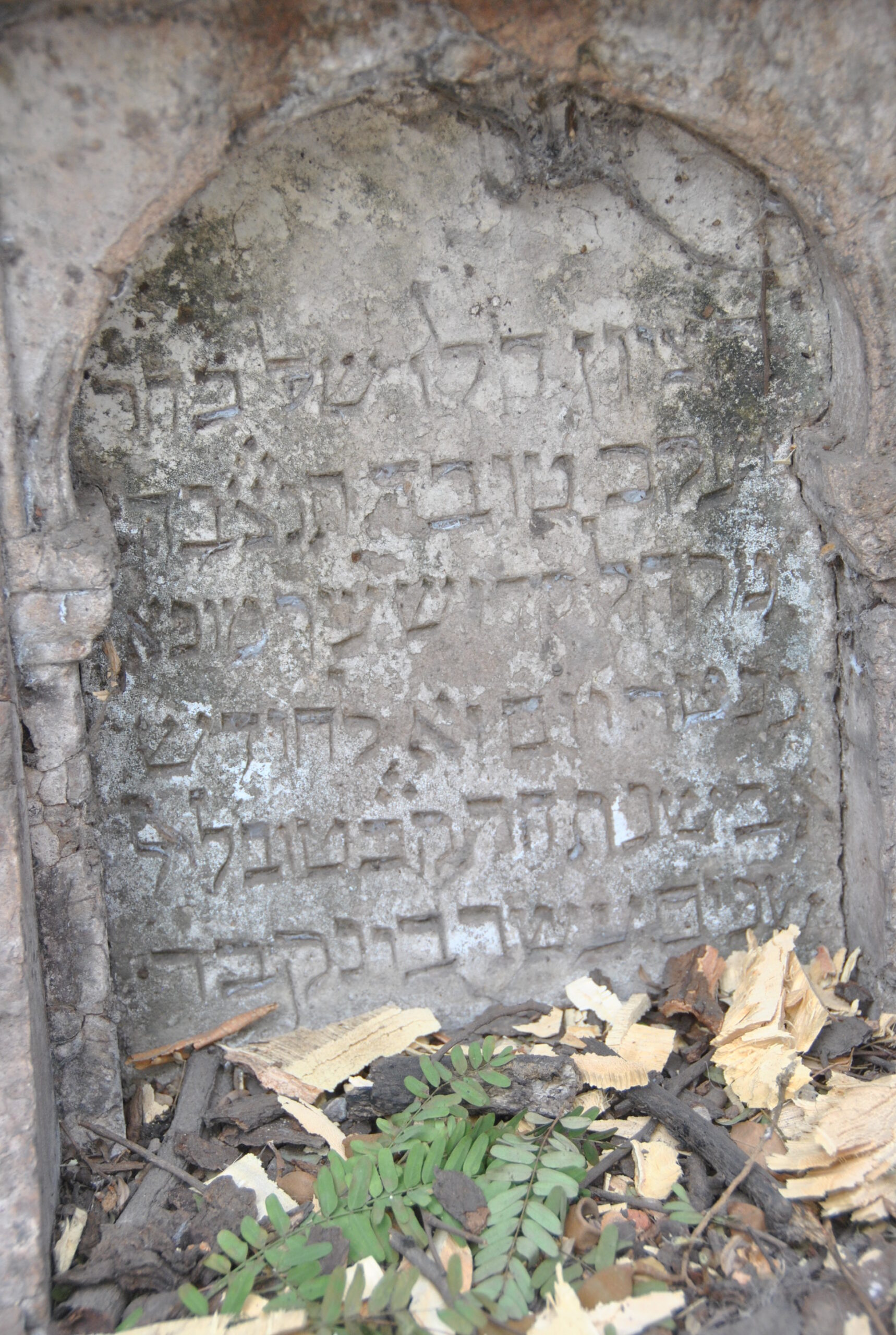 The Sassoon Docks: A Baghdadi Jewish Legacy in Mumbai