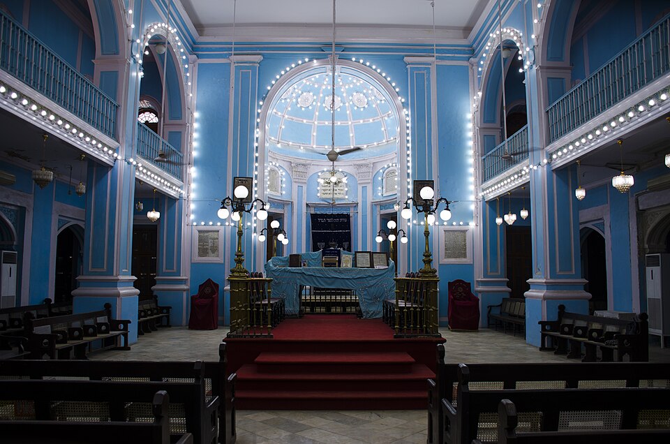The Jews of India by Dalia Ray