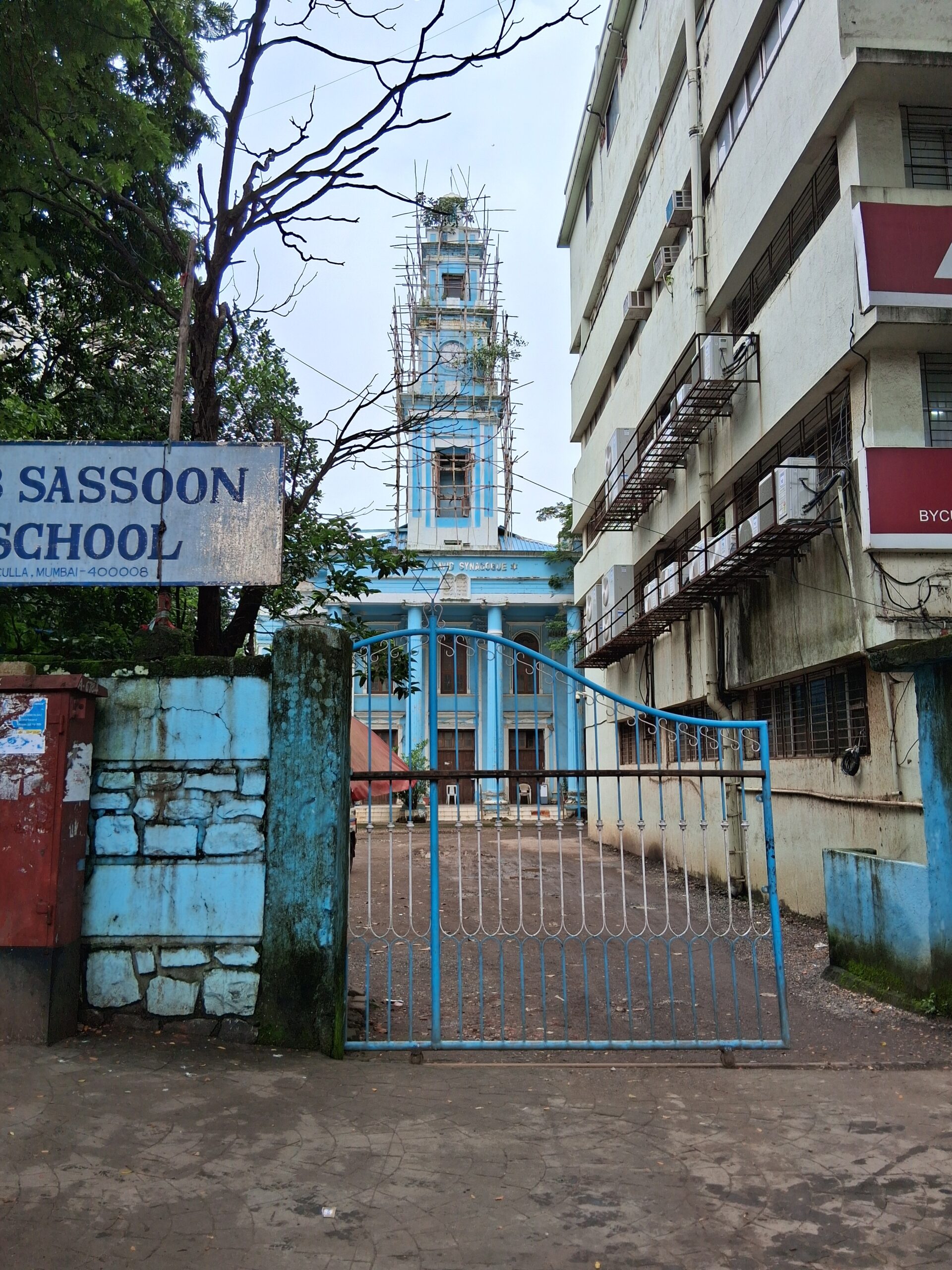 Who Are the Jews of India? Nathan Katz’s Landmark Study of a Community Facing Change